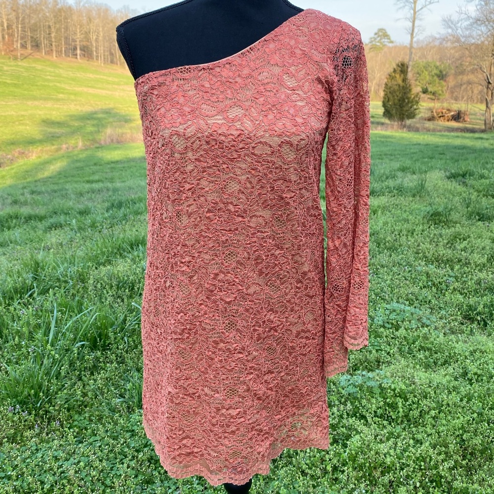 🩷 Coveted Clothing One Shoulder Lace Dress L/12